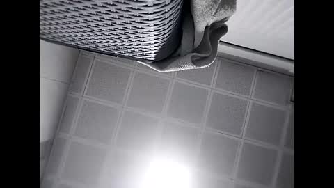 Snapshot of trapper727272 chatting on February 24, 2025, 5:43 am Big Head Cock online show from February 24, 2025, 5:43 am