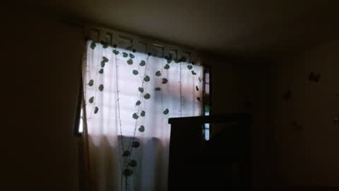 trebol_4 online show from July 28, 2026, 9:14 pm