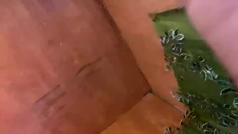 trebz_01 online show from November 17, 2025, 7:58 am