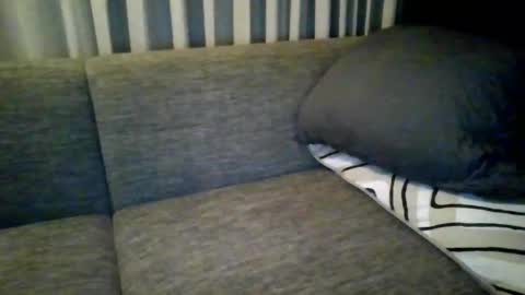 Snapshot of triciawu22 chatting on December 8, 2024, 1:36 pm triciawu22 online show from December 8, 2024, 1:36 pm