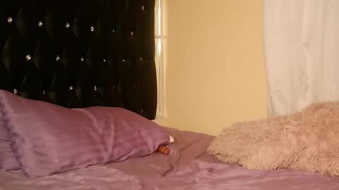 trinatrina94 online show from December 19, 2025, 2:40 am