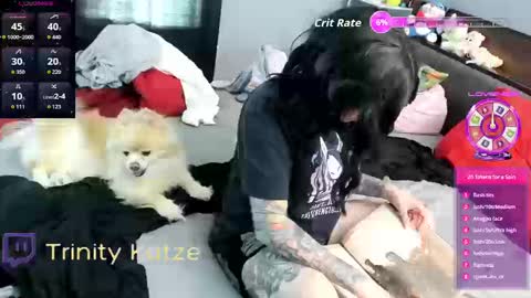 Snapshot of trinitykatze chatting on September 26, 2025, 8:02 pm Trin Kat pet online show from September 26, 2025, 8:02 pm