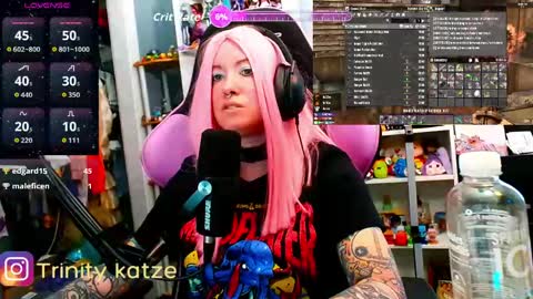 Snapshot of trinitykatze chatting on April 9, 2026, 6:46 pm Trin Kat pet online show from April 9, 2026, 6:46 pm