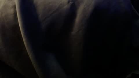 Snapshot of trmdstrong chatting on December 3, 2025, 5:59 am Trmdstrong online show from December 3, 2025, 5:59 am