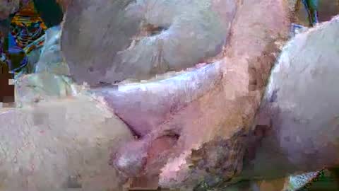 Snapshot of troy1965 chatting on January 6, 2025, 4:47 am troy1965 online show from January 6, 2025, 4:47 am