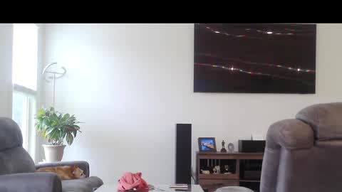 Snapshot of truckdoc26 chatting on October 11, 2025, 8:29 pm truckdoc26 online show from October 11, 2025, 8:29 pm