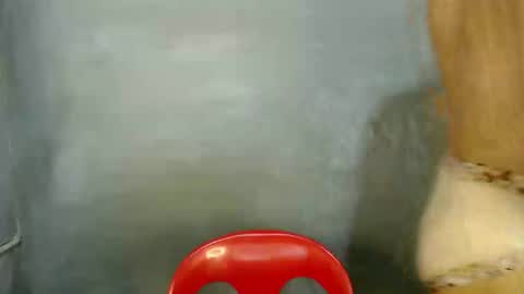 Paulyn online show from January 7, 2026, 5:54 am