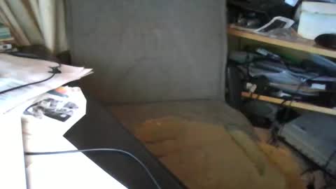 ttb2769 online show from February 24, 2026, 6:11 am