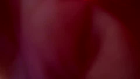 Snapshot of tu_julieta_gh chatting on October 20, 2025, 1:06 am JULIETA online show from October 20, 2025, 1:06 am