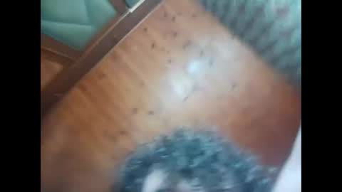 Snapshot of tutattis92 chatting on December 2, 2025, 2:28 am Inyutus online show from December 2, 2025, 2:28 am