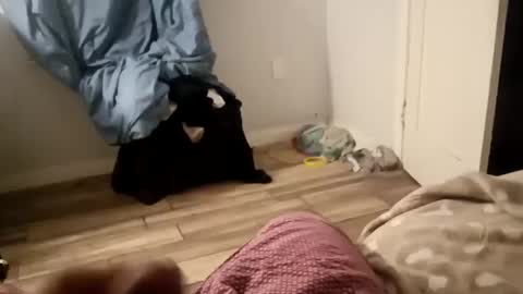 twest84 online show from September 14, 2025, 8:46 am