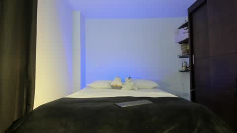 Snapshot of twintease chatting on January 2, 2025, 11:31 am twintease online show from January 2, 2025, 11:31 am