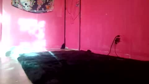 twizzytoxic22 online show from May 9, 2026, 11:21 pm