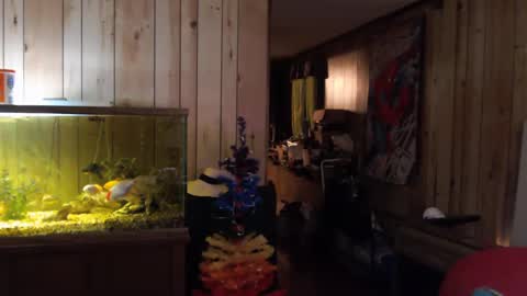 Snapshot of twocumkerry chatting on February 13, 2025, 8:06 am twocumkerry online show from February 13, 2025, 8:06 am