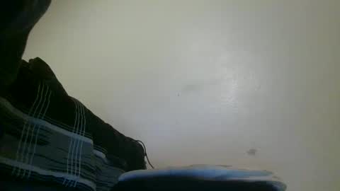 txbigd131369 online show from February 2, 2025, 11:08 am