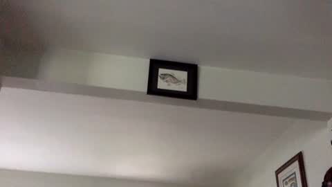 Tyler Durden online show from February 8, 2025, 6:12 pm