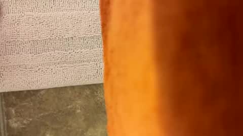 tymm4534 online show from April 22, 2026, 10:39 am