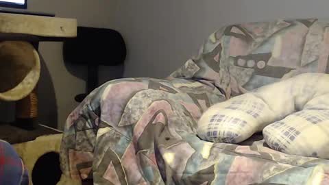 Helena and Tyson online show from February 22, 2025, 3:56 am