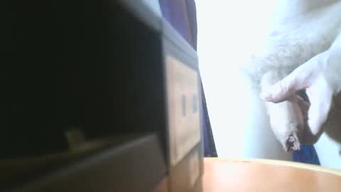 u02g2 online show from December 21, 2024, 8:00 pm