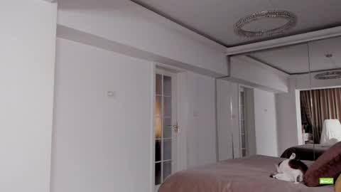 Silvia online show from December 15, 2024, 5:42 pm