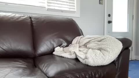 Snapshot of ungerisland chatting on March 9, 2025, 7:26 pm ungerisland online show from March 9, 2025, 7:26 pm