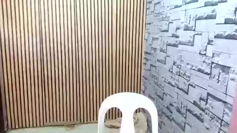 ur_asian_wife6969 online show from March 18, 2026, 5:21 am