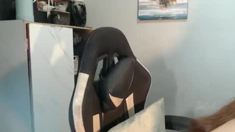 Snapshot of urasianfuckprincessxxx chatting on January 31, 2025, 9:59 pm urasianfuckprincessxxx online show from January 31, 2025, 9:59 pm