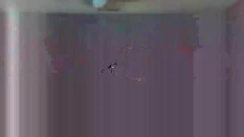 Snapshot of urls2025 chatting on November 23, 2025, 4:34 am urls2025 online show from November 23, 2025, 4:34 am