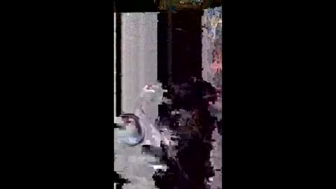 Snapshot of user18675309 chatting on March 8, 2026, 11:30 pm user18675309 online show from March 8, 2026, 11:30 pm