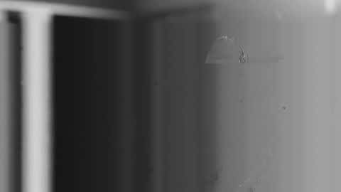 Snapshot of user2f chatting on December 4, 2025, 10:57 am steve online show from December 4, 2025, 10:57 am