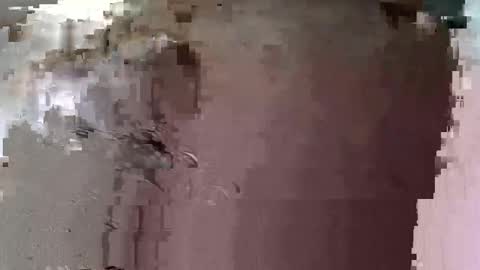 uzurpator0031 online show from March 22, 2026, 2:31 pm