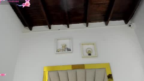 vahioleth  online show from March 17, 2026, 3:11 am