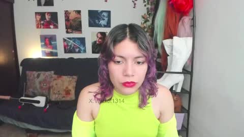 Snapshot of vaioletuwu chatting on April 22, 2026, 11:45 am Vaiolet1314 online show from April 22, 2026, 11:45 am