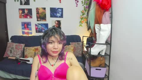 Snapshot of vaioletuwu chatting on April 28, 2026, 2:27 am Vaiolet1314 online show from April 28, 2026, 2:27 am