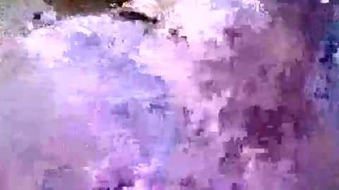 valdiciorocha6 online show from June 4, 2026, 2:17 am