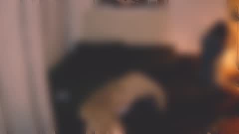 Little Devil online show from December 7, 2024, 3:08 pm