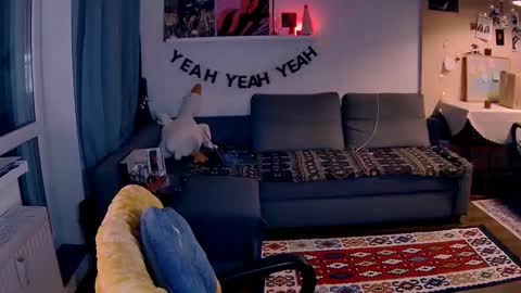 Little Devil online show from January 17, 2026, 3:28 pm