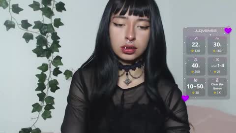 vamp online show from March 28, 2026, 3:28 am