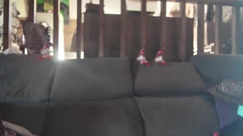 vampwoman online show from December 15, 2024, 9:03 am