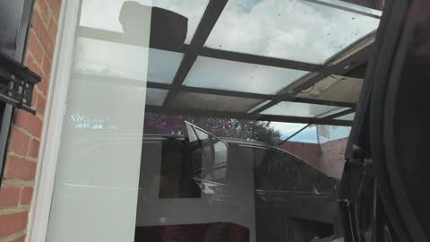 vanessa online show from April 3, 2026, 5:00 pm