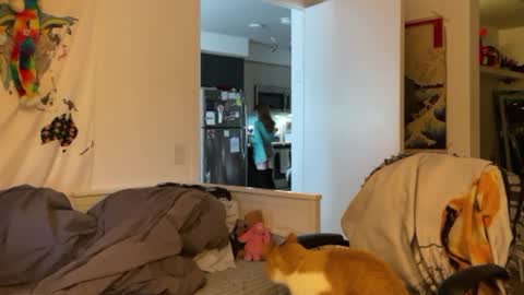 Vanessa  online show from January 4, 2025, 3:07 pm