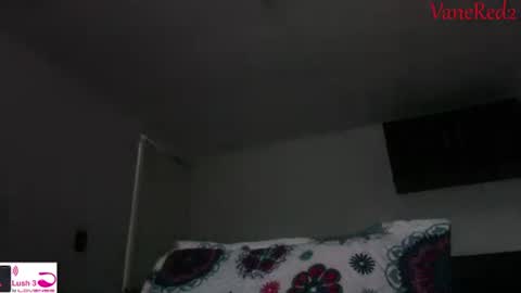 Snapshot of vanessared2 chatting on September 14, 2025, 10:53 pm Vanesared2 online show from September 14, 2025, 10:53 pm