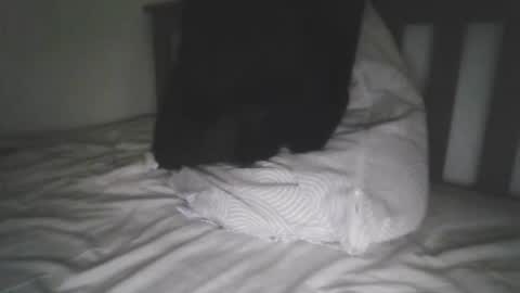 kerala mallu boy online show from September 18, 2025, 10:06 am