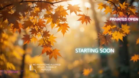 Snapshot of vegas_romance chatting on September 30, 2025, 2:16 am vegas_romance online show from September 30, 2025, 2:16 am