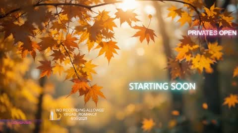 Snapshot of vegas_romance chatting on October 1, 2025, 2:06 am vegas_romance online show from October 1, 2025, 2:06 am