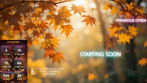 Snapshot of vegas_romance chatting on October 8, 2025, 1:36 am vegas_romance online show from October 8, 2025, 1:36 am