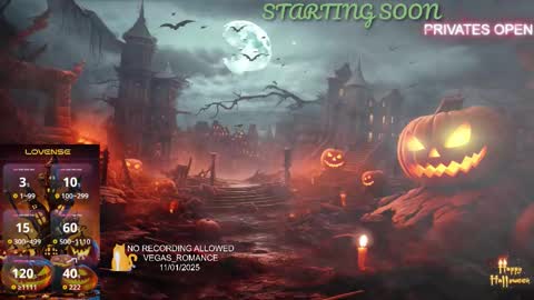 Snapshot of vegas_romance chatting on November 2, 2025, 12:13 am vegas_romance online show from November 2, 2025, 12:13 am