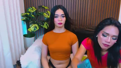 Velvet online show from July 25, 2026, 9:40 am