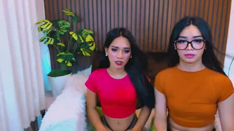 Velvet online show from July 28, 2026, 11:17 am