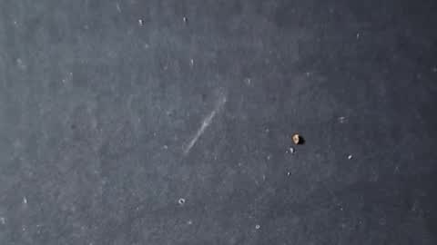 Snapshot of velvetsolez chatting on March 22, 2026, 9:29 pm velvetsolez online show from March 22, 2026, 9:29 pm